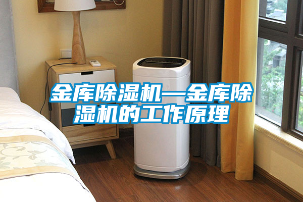 金庫除濕機(jī)—金庫除濕機(jī)的工作原理