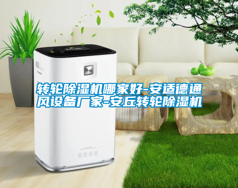 轉(zhuǎn)輪除濕機哪家好-安適德通風(fēng)設(shè)備廠家-安丘轉(zhuǎn)輪除濕機