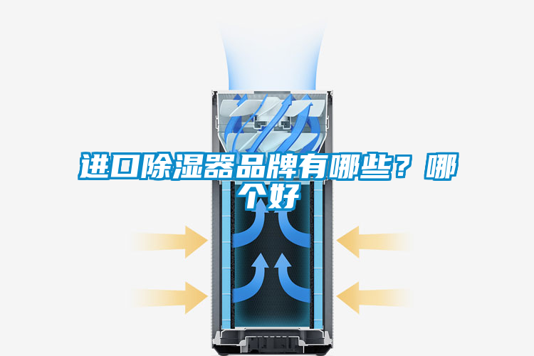 進(jìn)口除濕器品牌有哪些？哪個好