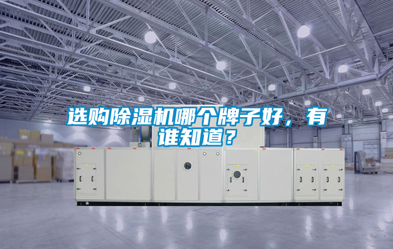 選購(gòu)除濕機(jī)哪個(gè)牌子好，有誰(shuí)知道？