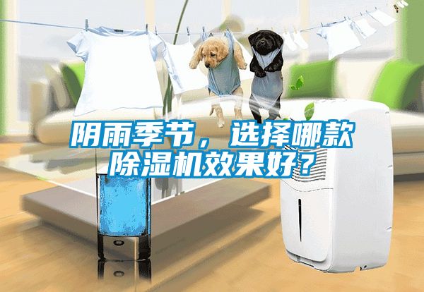 陰雨季節(jié)，選擇哪款除濕機效果好？