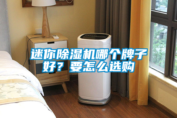 迷你除濕機(jī)哪個(gè)牌子好？要怎么選購