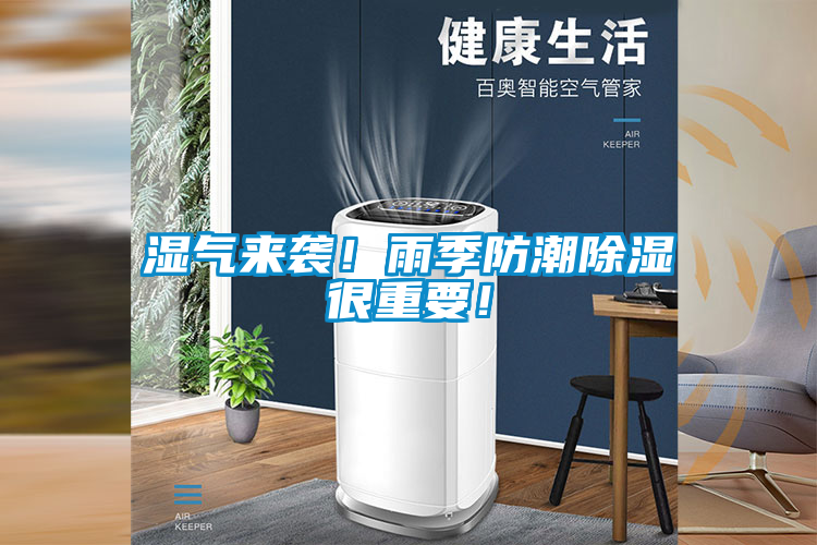 濕氣來襲！雨季防潮除濕很重要！
