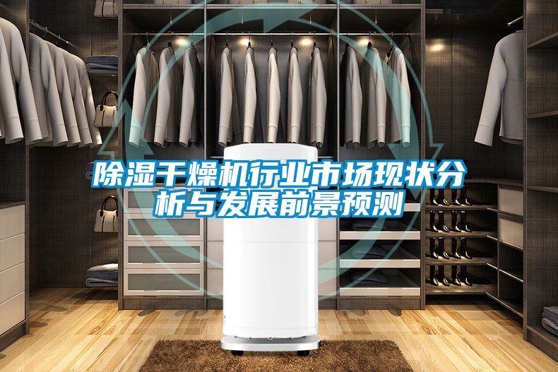 除濕干燥機(jī)行業(yè)市場現(xiàn)狀分析與發(fā)展前景預(yù)測