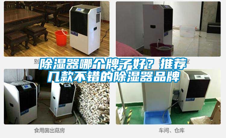 除濕器哪個牌子好？推薦幾款不錯的除濕器品牌