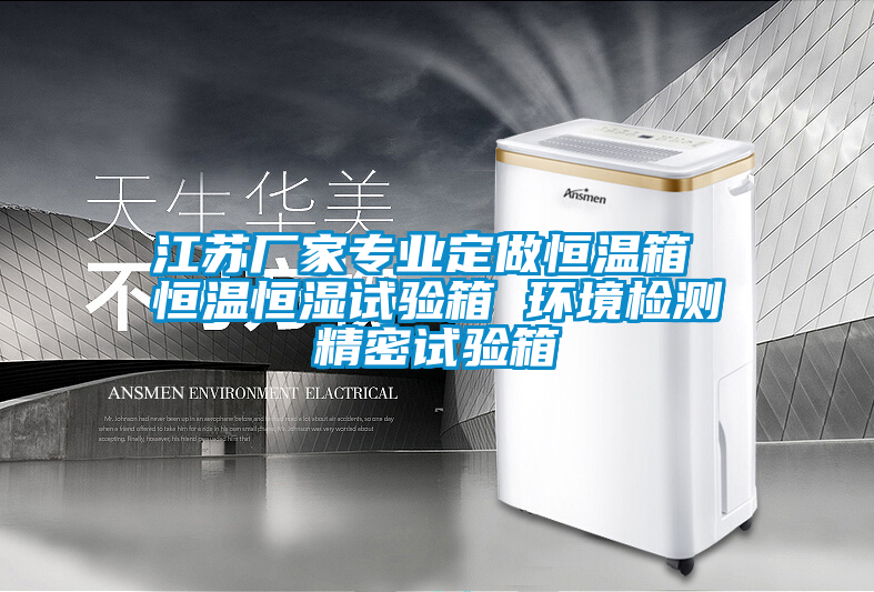 江蘇廠家專業(yè)定做恒溫箱 恒溫恒濕試驗(yàn)箱 環(huán)境檢測(cè)精密試驗(yàn)箱