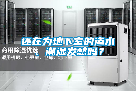 還在為地下室的滲水、潮濕發(fā)愁嗎？