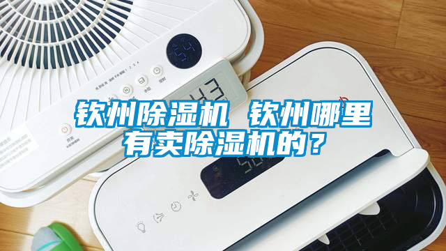 欽州除濕機(jī) 欽州哪里有賣(mài)除濕機(jī)的？