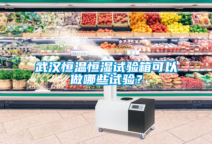 武漢恒溫恒濕試驗(yàn)箱可以做哪些試驗(yàn)？