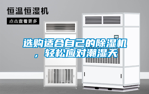 選購適合自己的除濕機，輕松應(yīng)對潮濕天