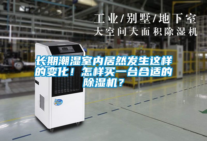 長期潮濕室內(nèi)居然發(fā)生這樣的變化！怎樣買一臺合適的除濕機？