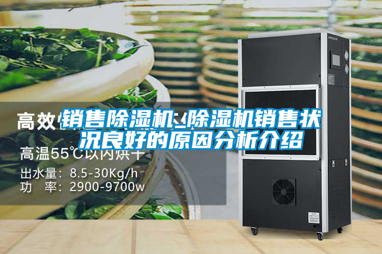 銷(xiāo)售除濕機(jī)_除濕機(jī)銷(xiāo)售狀況良好的原因分析介紹