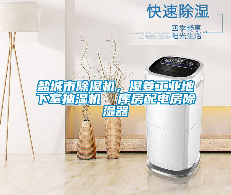 鹽城市除濕機，濕菱工業(yè)地下室抽濕機  庫房配電房除濕器