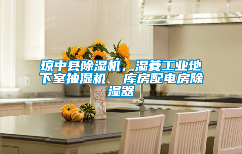 瓊中縣除濕機(jī)，濕菱工業(yè)地下室抽濕機(jī)  庫(kù)房配電房除濕器
