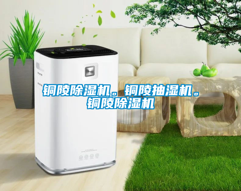 銅陵除濕機(jī)。銅陵抽濕機(jī)。銅陵除濕機(jī)