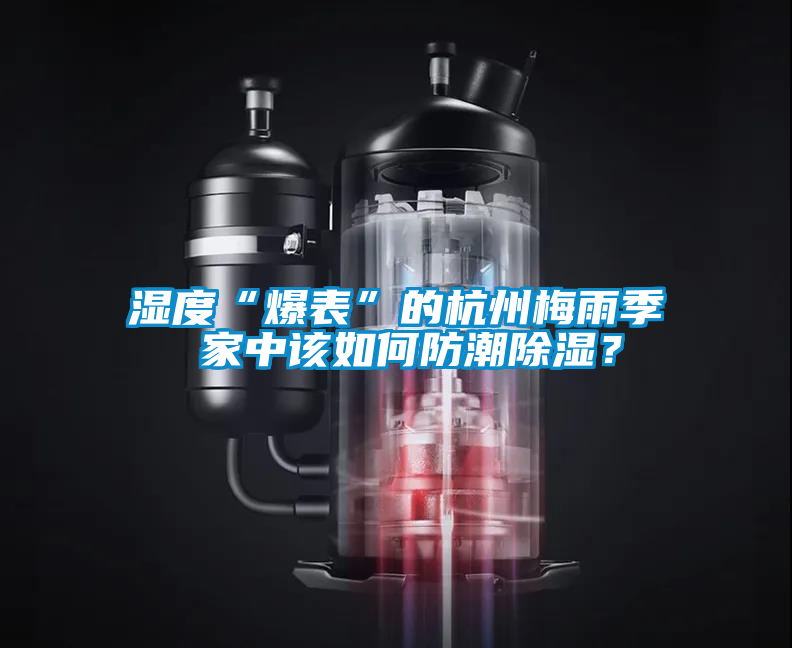 濕度“爆表”的杭州梅雨季 家中該如何防潮除濕？