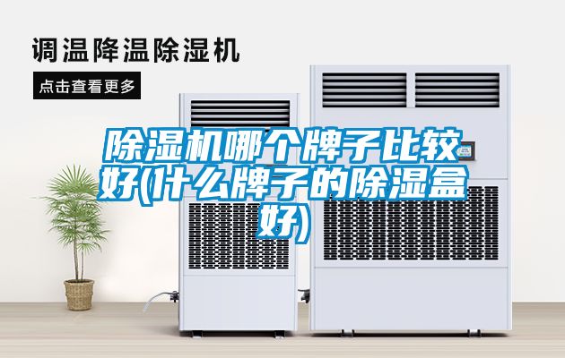 除濕機(jī)哪個牌子比較好(什么牌子的除濕盒好)