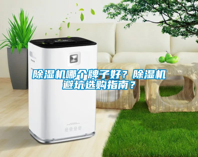 除濕機(jī)哪個(gè)牌子好？除濕機(jī)避坑選購(gòu)指南？