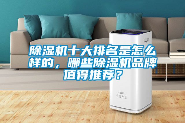 除濕機十大排名是怎么樣的，哪些除濕機品牌值得推薦？