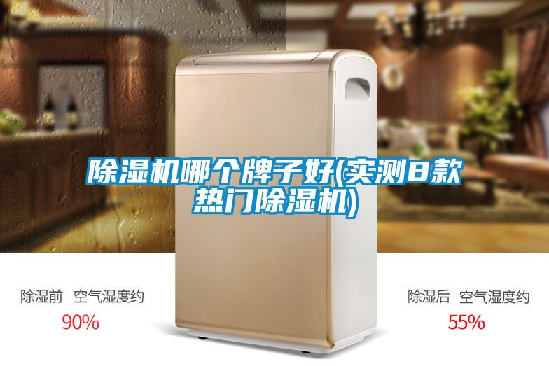 除濕機(jī)哪個牌子好(實測8款熱門除濕機(jī))