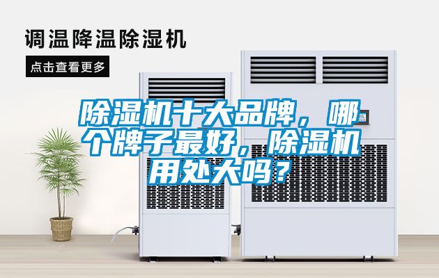 除濕機(jī)十大品牌，哪個(gè)牌子最好，除濕機(jī)用處大嗎？