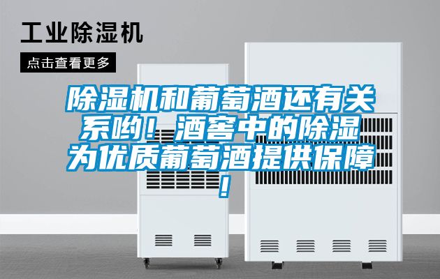 除濕機和葡萄酒還有關系喲！酒窖中的除濕為優(yōu)質葡萄酒提供保障！