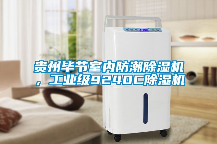 貴州畢節(jié)室內防潮除濕機，工業(yè)級9240C除濕機