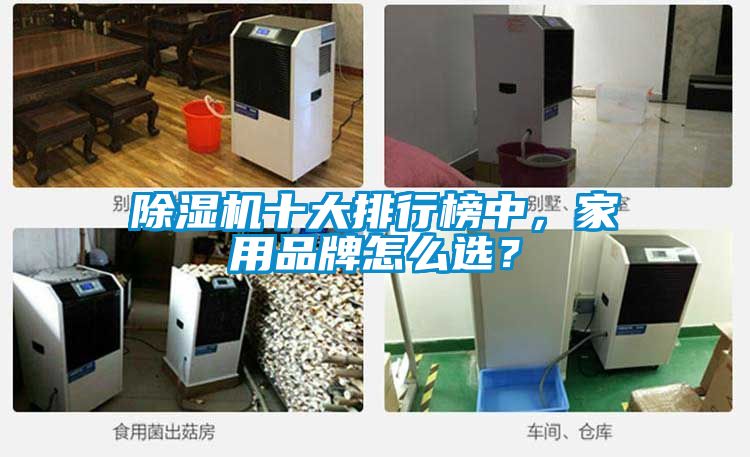 除濕機十大排行榜中，家用品牌怎么選？