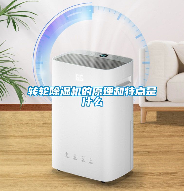 轉(zhuǎn)輪除濕機(jī)的原理和特點是什么