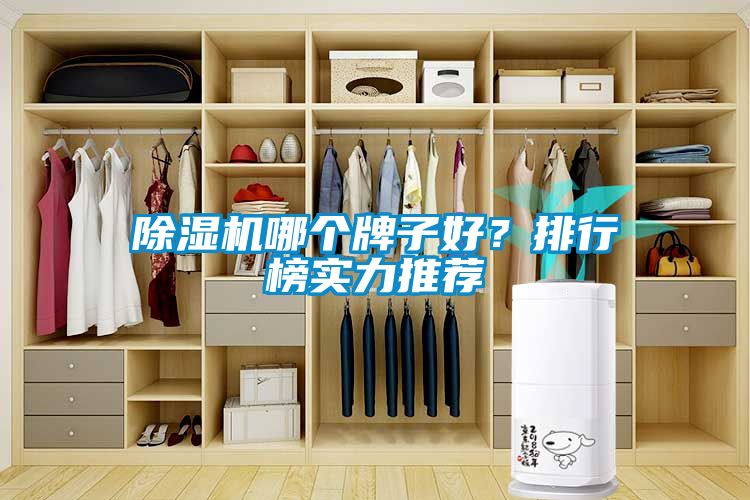 除濕機(jī)哪個(gè)牌子好？排行榜實(shí)力推薦