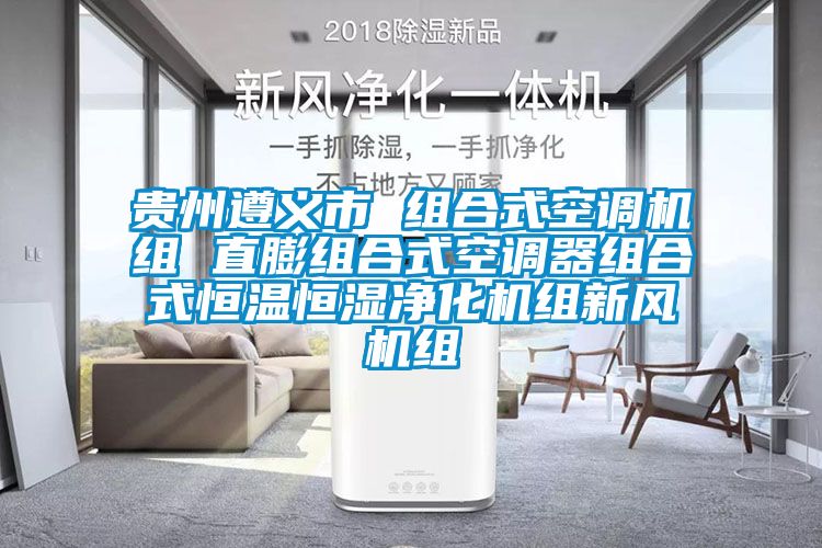 貴州遵義市 組合式空調(diào)機組 直膨組合式空調(diào)器組合式恒溫恒濕凈化機組新風(fēng)機組