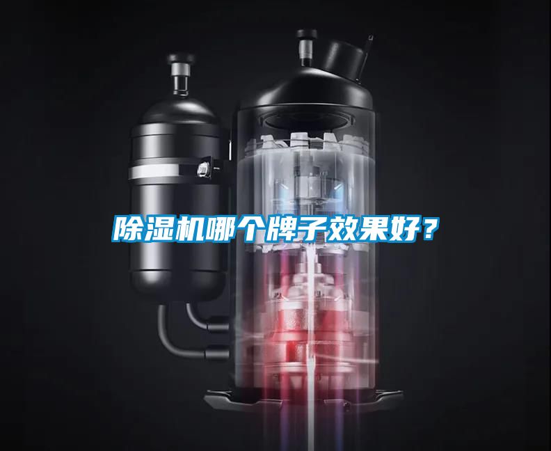 除濕機(jī)哪個(gè)牌子效果好？