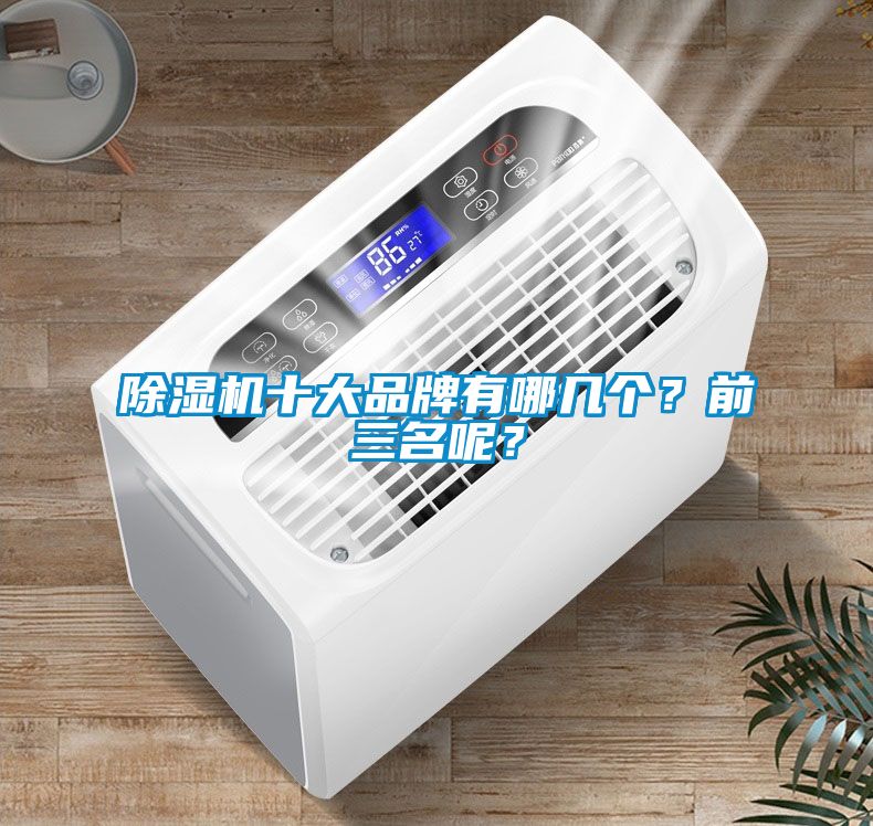 除濕機(jī)十大品牌有哪幾個(gè)？前三名呢？
