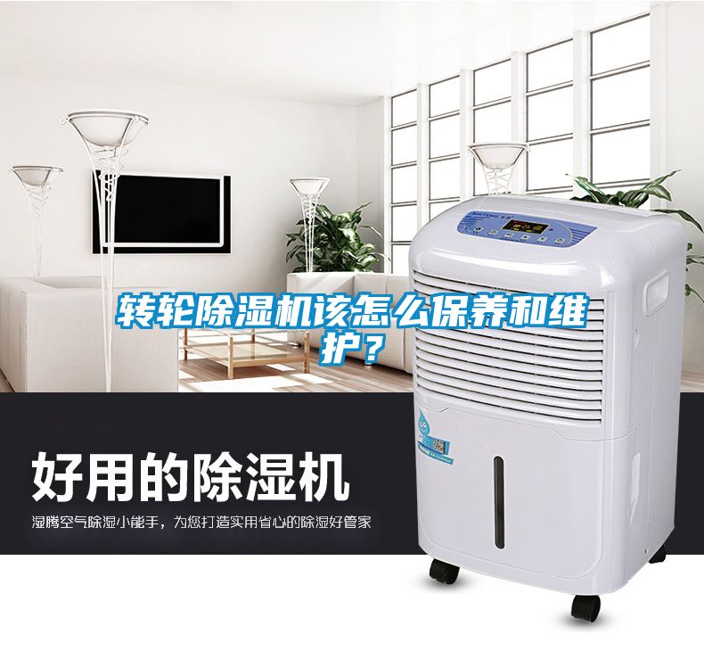 轉(zhuǎn)輪除濕機(jī)該怎么保養(yǎng)和維護(hù)？