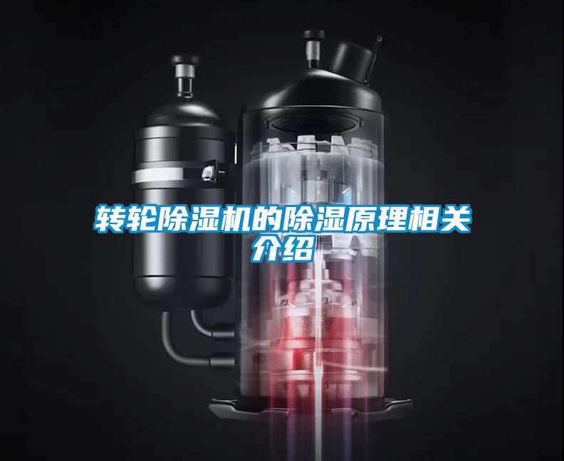 轉(zhuǎn)輪除濕機的除濕原理相關介紹
