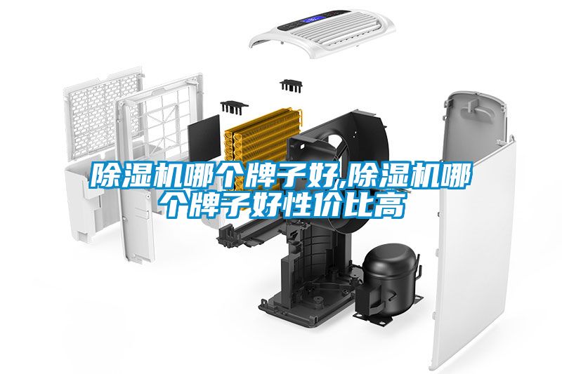 除濕機(jī)哪個牌子好,除濕機(jī)哪個牌子好性價比高