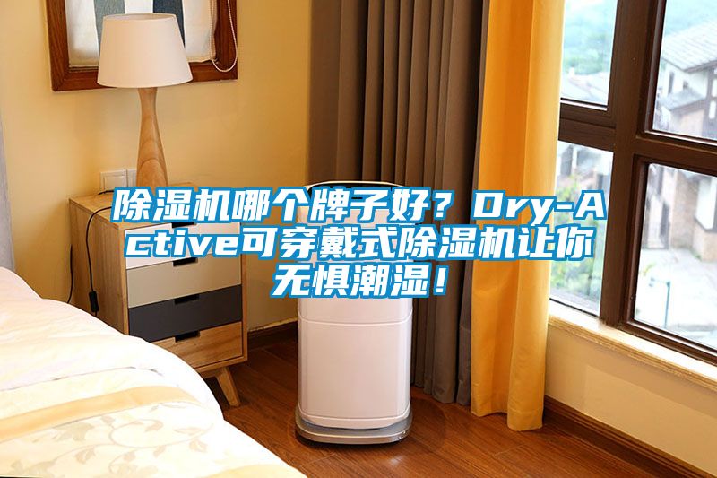 除濕機(jī)哪個(gè)牌子好？Dry-Active可穿戴式除濕機(jī)讓你無懼潮濕！