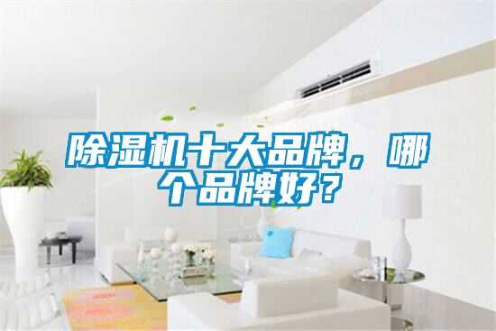 除濕機十大品牌，哪個品牌好？