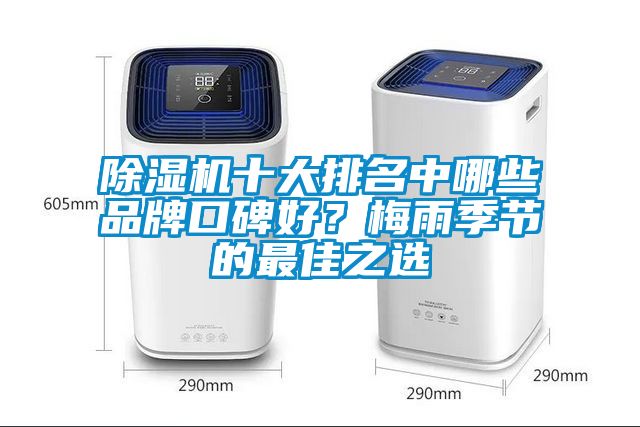 除濕機(jī)十大排名中哪些品牌口碑好？梅雨季節(jié)的最佳之選