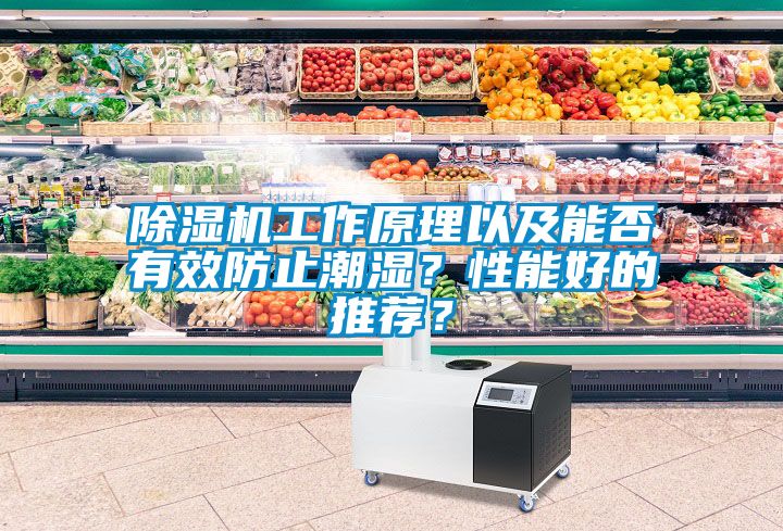 除濕機工作原理以及能否有效防止潮濕？性能好的推薦？