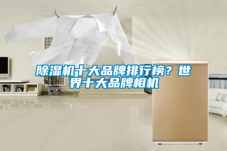 除濕機(jī)十大品牌排行榜？世界十大品牌相機(jī)