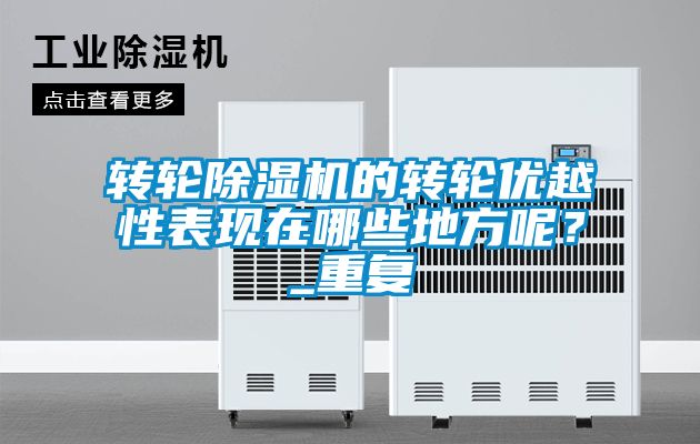 轉(zhuǎn)輪除濕機的轉(zhuǎn)輪優(yōu)越性表現(xiàn)在哪些地方呢？_重復(fù)