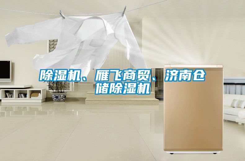 除濕機、雁飛商貿(mào)、濟南倉儲除濕機