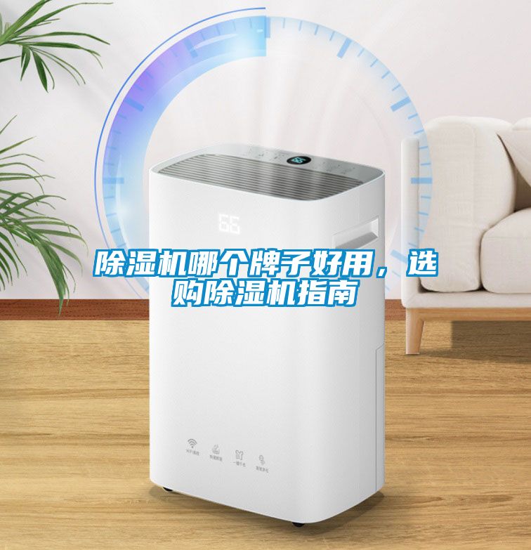 除濕機(jī)哪個牌子好用，選購除濕機(jī)指南