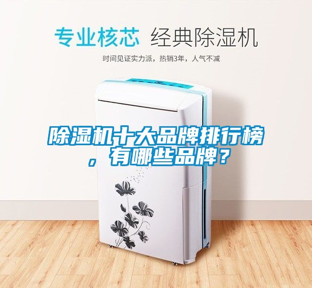 除濕機(jī)十大品牌排行榜，有哪些品牌？