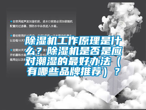 除濕機(jī)工作原理是什么？除濕機(jī)是否是應(yīng)對潮濕的最好辦法（有哪些品牌推薦）？