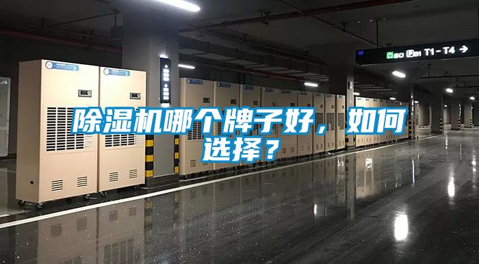 除濕機(jī)哪個(gè)牌子好，如何選擇？