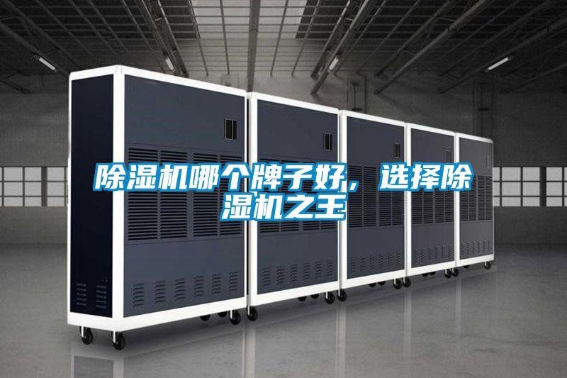 除濕機(jī)哪個(gè)牌子好，選擇除濕機(jī)之王