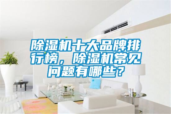 除濕機(jī)十大品牌排行榜，除濕機(jī)常見(jiàn)問(wèn)題有哪些？