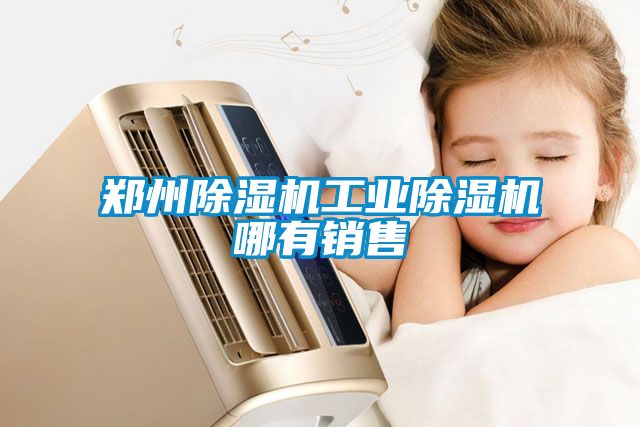 鄭州除濕機工業(yè)除濕機哪有銷售